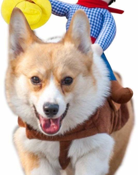 Cowboy Rider Dog Costume for Dogs Halloween Costume
