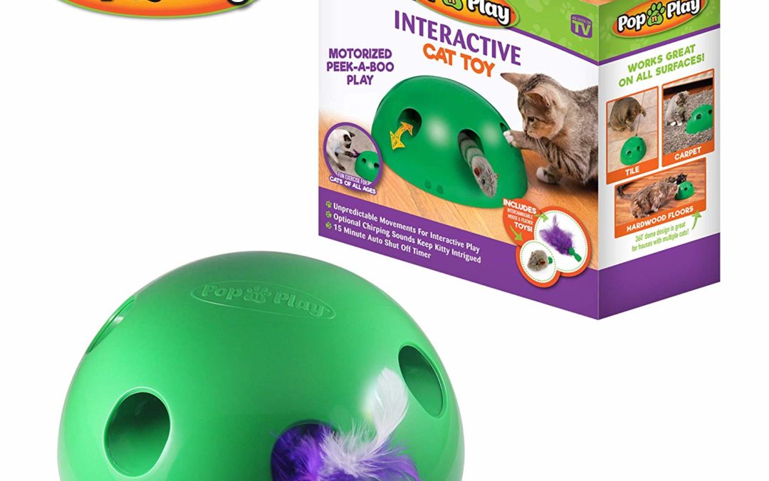 Allstar Innovations Pop N’ Play Interactive Motion Cat Toy