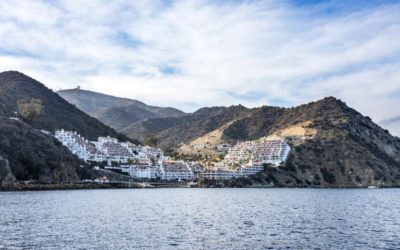 Should I Rent a Golf Cart on Catalina Island?