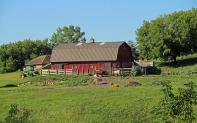 How to Start a Hobby Farm With Your Family