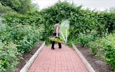 Easter at the Gaines Farm