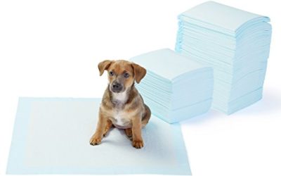AmazonBasics Dog and Puppy Potty Training Pads, Regular (22 x 22 Inches) – Pack of 150