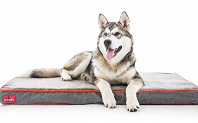 Brindle Waterproof Designer Memory Foam Pet Bed