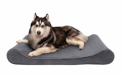 Furhaven Pet Dog Bed – Cooling Gel Foam Micro Velvet Ergonomic Luxe Lounger Cradle Mattress Contour Pet Bed w/ Removable Cover for Dogs & Cats, Gray, Jumbo