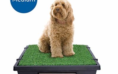 PetSafe Pet Loo Portable Dog Potty, Alternative to Puppy Pads, Medium