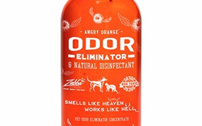 Angry Orange Pet Odor Eliminator for Dog and Cat Urine, Makes 1 Gallon of Solution for Carpet, Furniture and Floor Stains