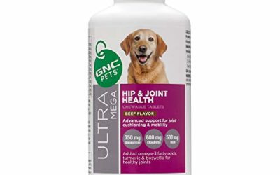 GNC Pets Ultra Mega Hip & Joint Health Chewable Tablets Dog Supplement for Senior Dogs, 240 Count – Beef Flavor | Advanced Support for Joint Cushioning & Mobility (FF13742)