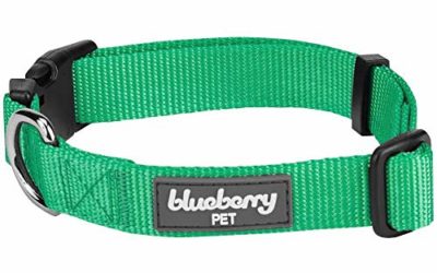Blueberry Pet Essentials 22 Colors Classic Dog Collar, Emerald, Small, Neck 12"-16", Nylon Collars for Dogs