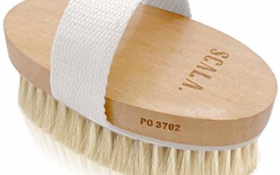 Wet and Dry Body Brush Exfoliator – Soft Bristle Brush Naturally Exfoliates Dead Skin, Smooths Cellulite, Slows Aging, Stimulates Lymph and Blood Flow by Scala Beauty, 5 x 2.75 In
