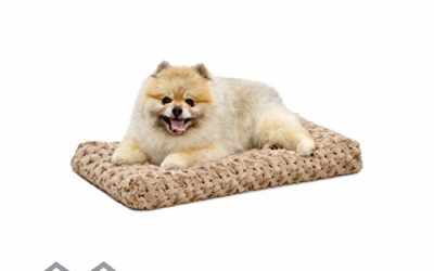 MidWest Homes for Pets Quiet Time 21-By-12-Inch Ombre? Swirl Deluxe Pet Bed (277371)