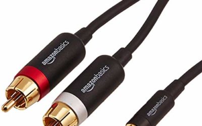 AmazonBasics 3.5mm to 2-Male RCA Adapter Audio Stereo Cable – 4 Feet