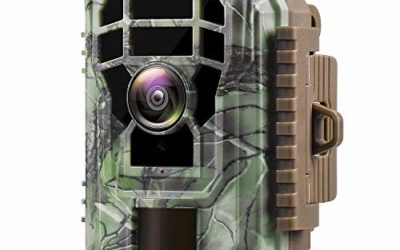 Campark Mini Trail Camera 1080P HD Game Camera Waterproof Wildlife Scouting Hunting Cam with 12MP 120° Wide Angle Lens and Night Vision 2.4” LCD IR LEDs