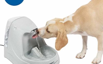 PetSafe Drinkwell Platinum Dog and Cat Water Fountain, Automatic Drinking Fountain for Pets, 168 Oz.