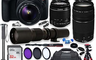 Canon EOS Rebel T6 DSLR Camera with 18-55mm is II Lens Bundle + Canon EF 75-300mm f/4-5.6 III Lens and 500mm Preset Lens + 32GB Memory + Filters + Monopod + Spider Tripod + Professional Bundle