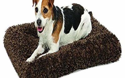 Plush Pet Bed | Coco Chic Dog Bed & Cat Bed | Cocoa 24L x 19W x 1.75H -Inches for Small Dog Breeds
