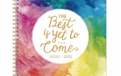 Planner 2020-2021- Academic Weekly & Monthly Planner with Twin-Wire Binding, 8" x 10", July 2020 – June 2021, Thick Paper with Marked Tabs + to-Do List + Info Page + Holidays – Watercolor Ink