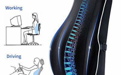 Villsure Lumbar Support Pillow, Memory Foam Back Cushion for Lower Back Pain Relief with Adjustable Elastic Belt, Ergonomic Lumbar Pillow with Breathable Cover for Office Chair/Car Seat/Wheelchair