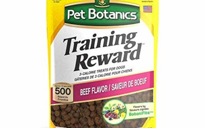 Pet Botanics Training Rewards Treats, Beef, 20 Ounces