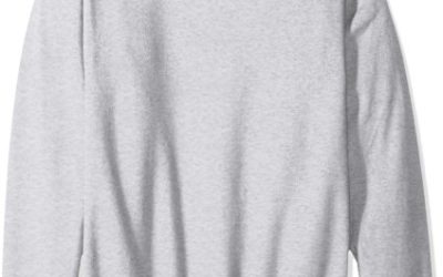 Hanes Men's EcoSmart Fleece Sweatshirt, ash, XL