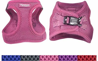 Downtown Pet Supply No Pull, Step in Adjustable Dog Harness with Padded Vest, Easy to Put on Small, Medium and Large Dogs (Pink, M)