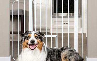 Carlson Extra Wide Walk Through Pet Gate with Small Pet Door, Includes 4-Inch Extension Kit, Pressure Mount Kit and Wall Mount Kit