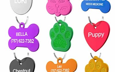 Dr. Fremont's Pet ID Tag Custom for Dog Cat Personalized | Many Shapes and Colors to Choose from | Made in USA | Strong Anodized Aluminum