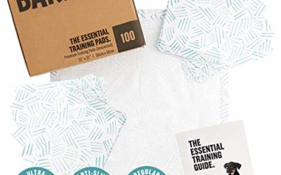 BarkBox Odorless Puppy Pads | 100 Count | Quick Dry, Ultra Absorbent Dog Pee Pads, Pet Training Accessories for Housebreaking, Pheromone Attractant | Basic | Regular