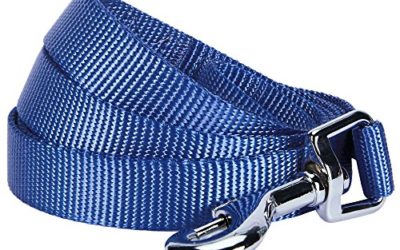 Blueberry Pet Essentials 19 Colors Durable Classic Dog Leash 5 ft x 5/8", Marina Blue, Small, Basic Nylon Leashes for Dogs