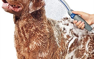 Waterpik PPR-252 Pet Wand Pro Shower Sprayer Attachment, 2.5 GPM, for Fast and Easy at Home Dog Cleaning, Blue/Grey