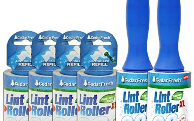 Household Essentials 79120-1 Cedar Fresh 2 Pack Lint Rollers | Remove Pet Hair and Dust | Includes Two Rollers with 4 Refills