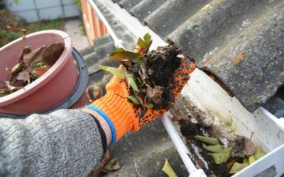 3 Preventative Home Maintenance Tasks That Can Save You Money in the Long Run