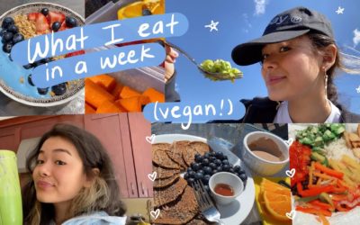 EVERYTHING I eat in a week 🍰 (healthy vegan summer recipes!)
