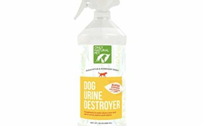 Only Natural Pet Dog Urine Stain & Odor Destroyer Probiotic Spray for Dogs – All-Natural Enzyme Cleaner, Pet Stain Remover & Odor Eliminator – 32 Fl Oz