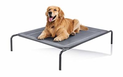 Love's cabin Outdoor Elevated Dog Bed – 49in Cooling Pet Dog Beds for Extra Large Medium Small Dogs – Portable Dog Cot for Camping or Beach, Durable Summer Frame with Breathable Mesh