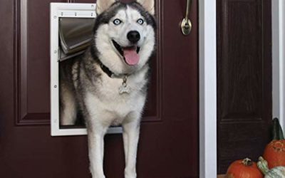 PetSafe Extreme Weather Energy Efficient Pet Door for Cats and Dogs – Insulated Flap System – Large