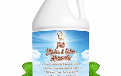 Pet Stain & Odor Remover, Enzyme Cleaner, Odor Eliminator, Best Carpet Stain Remover, Pet Odor Eliminator, Stain Remover, Odor Neutralizer, Cat Urine Smell – Cleaner – Eliminator, Sunny and Honey, 1 Gallon