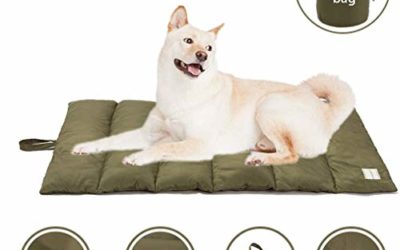Cheerhunting Outdoor Dog Bed 43”x26”, Waterproof, Washable,Large Size, Durable,Water Resistant, Portable and Camping Travel Pet Mat (Green)