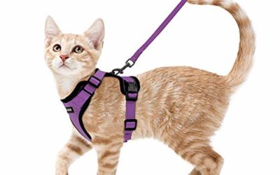 rabbitgoo Cat Harness and Leash for Walking, Escape Proof Soft Adjustable Vest Harnesses for Medium Large Cats, Easy Control Breathable Reflective Strips Pet Safety Jacket, Purple, S(Chest: 18" – 20")