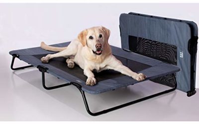 Pet Gear Lifestyle Pet Cot Elevated Bed | No Assembly Required | Premium Tear Resistant Cooling Mesh | Indoor & Outdoor | Lightweight & Portable, 50", Lake Blue (PG6250LBA)