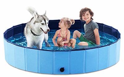 Jasonwell Foldable Dog Pet Bath Pool Collapsible Dog Pet Pool Bathing Tub Kiddie Pool for Dogs Cats & Kids (63".D x 11.8".H, Blue)