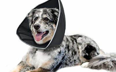 E-KOMG Pet Recovery Collar for Surgery with Elastic Loops-Protective Collar for Wound Healing (XL(18.5-22inches))