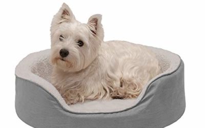 Furhaven Pet Dog Bed – Round Oval Cuddler Orthopedic Foam Nest Lounger Pet Bed for Dogs & Cats, Gray, Medium