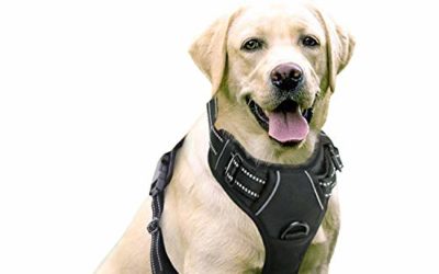 rabbitgoo No-Pull Dog Harness Padded Adjustable Pet Vest Harness with Handle Front Clip Harness for Large Dogs Training or Walking, Durable and No Choking-Black