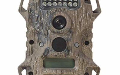 Wildgame Innovations Terra Extreme 14 Megapixel IR Trail Camera | Still Images and Video, Bark