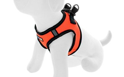 Pawtitas Pet Reflective Mesh Dog Harness, Step in or Vest Harness, Comfort Control, Training Walking of Your Puppy/Dog Medium M Orange Dog Harness