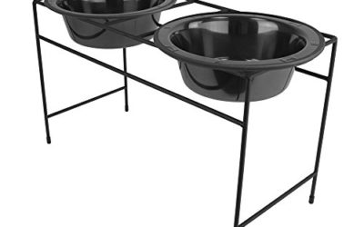 Platinum Pets Double Diner Feeder with Stainless Steel Dog Bowls, 6.25 cup/50 oz, Black Chrome