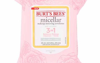 Burt's Bees Burts Bees Micellar Makeup Removing Towelettes – Rose Water 30 Pc, 30count