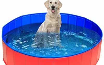 UMARDOO Fold Dog Pool – Pet Bath Pool, Swimming Pool Portable PVC Pet Paddling Bath Tub for Cats (X-Large-63'' X 12'')