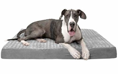 Furhaven Pet Dog Bed – Deluxe Orthopedic Mat Ultra Plush Faux Fur Traditional Foam Mattress Pet Bed w/ Removable Cover for Dogs & Cats, Gray, Jumbo Plus