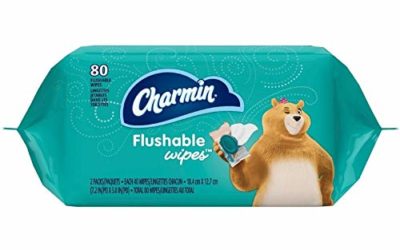 Charmin Flushable Wipes Refill, Twin Pack, 80 ea (Pack of 2)